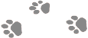机关篮球队短期训练方案怎么写_1